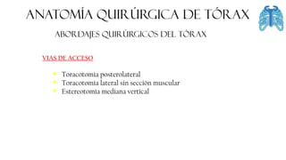 FASCIA
ANATOMÍA QUIRÚRGICA DE tórax
Abordajes quirúrgicos del tórax
VIAS DE ACCESO
❖ Toracotomía posterolateral
❖ Toracotomía lateral sin sección muscular
❖ Estereotomía mediana vertical
 