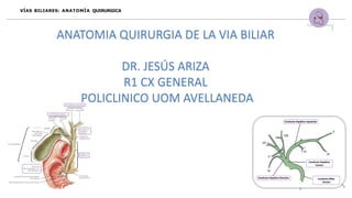 VÍAS BILIARES: ANATOMÍA QUIRURGICA
ANATOMIA QUIRURGIA DE LA VIA BILIAR
DR. JESÚS ARIZA
R1 CX GENERAL
POLICLINICO UOM AVELLANEDA
 