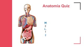 Anatomía Quiz
 