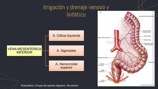 Irrigación y drenaje venoso y
linfático
VENA MESENTERICA
INFERIOR
A. Cólica izquierda
A. Sigmoides
A. Hemorroidal
superior
Shackelford, Cirugia del aparato digestivo. 5ta edición
 