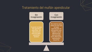 anatomiaqxcolon_2[2].pptx