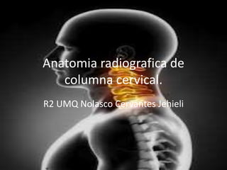 Anatomia radiografica de
columna cervical.
R2 UMQ Nolasco Cervantes Jehieli
 