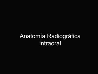 Anatomía Radiográfica
intraoral

 