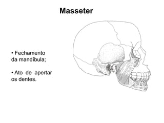 Masseter




• Fechamento
da mandíbula;

• Ato de apertar
os dentes.
 