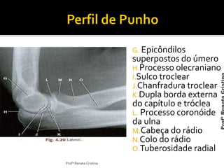 G. Epicôndilos
superpostos do úmero
H.Processo olecraniano
I.Sulco troclear
J.Chanfradura troclear
K.Dupla borda externa
do capítulo e tróclea
L. Processo coronóide
da ulna
M.Cabeça do rádio
N.Colo do rádio
O.Tuberosidade radial
Profª Renata Cristina
 