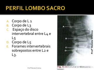 A. Corpo de L 1
B. Corpo de L3
C. Espaço do disco
intervertebral entre L4 e
L5
D. Corpo de L5
E. Forames intervertebrais
sobrepostos entre L2 e
L3.
Profª Renata Cristina
ProfªRenataCristina
 