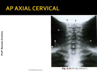 Profª Renata Cristina
ProfªRenataCristina
 
