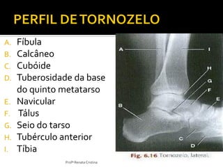 A. Fíbula
B. Calcâneo
C. Cubóide
D. Tuberosidade da base
do quinto metatarso
E. Navicular
F. Tálus
G. Seio do tarso
H. Tubérculo anterior
I. Tíbia
Profª Renata Cristina
 