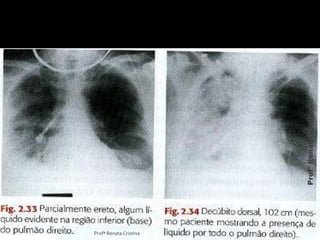 Profª Renata Cristina
ProfªRenataCristina
 