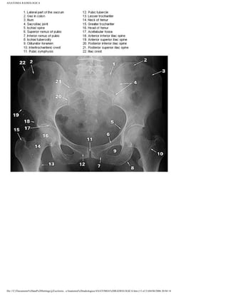 Anatomia radiologica | PDF
