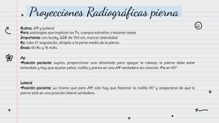 Anatomía Radiológica (Proyecciones).pdf