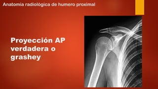 anatomia radiologica de humero proximal.pptx