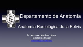 Departamento de Anatomía
Anatomía Radiológica de la Pelvis
Dr. Max Joao Martínez Utrera
Radiología e Imagen
maxjoao@hotmail.com
 