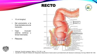 Que Significa Recto ANATOMIA RECTO Y ANO.pptx