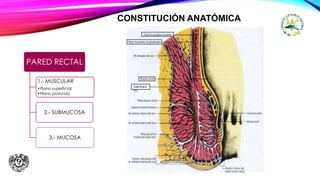 ANATOMIA RECTO Y ANO.pptx
