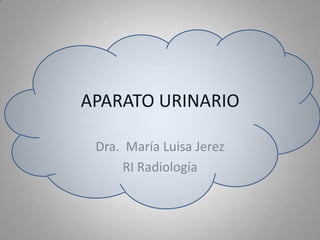 APARATO URINARIO

 Dra. María Luisa Jerez
     RI Radiología
 