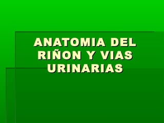 ANATOMIA DELANATOMIA DEL
RIÑON Y VIASRIÑON Y VIAS
URINARIASURINARIAS
 