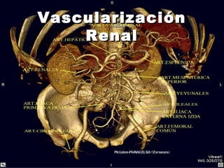 VascularizaciónVascularización
RenalRenal
 