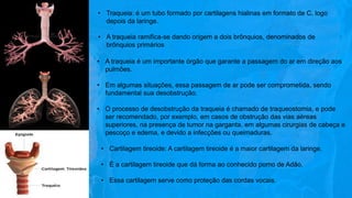 • Traqueia: é um tubo formado por cartilagens hialinas em formato de C, logo
depois da laringe.
• A traqueia ramifica-se dando origem a dois brônquios, denominados de
brônquios primários
• A traqueia é um importante órgão que garante a passagem do ar em direção aos
pulmões.
• Em algumas situações, essa passagem de ar pode ser comprometida, sendo
fundamental sua desobstrução.
• O processo de desobstrução da traqueia é chamado de traqueostomia, e pode
ser recomendado, por exemplo, em casos de obstrução das vias aéreas
superiores, na presença de tumor na garganta, em algumas cirurgias de cabeça e
pescoço e edema, e devido a infecções ou queimaduras.
• Cartilagem tireoide: A cartilagem tireoide é a maior cartilagem da laringe.
• É a cartilagem tireoide que dá forma ao conhecido pomo de Adão.
• Essa cartilagem serve como proteção das cordas vocais.
 