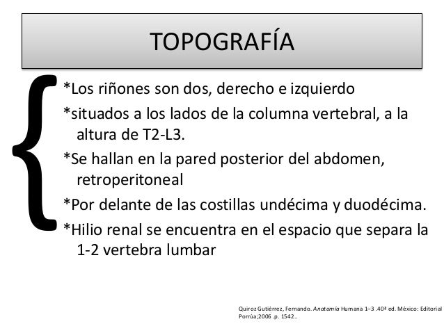 El dolor en la espalda al primer mes el embarazo