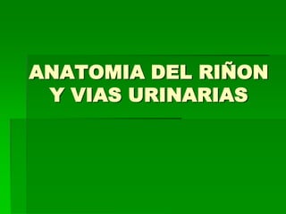 ANATOMIA DEL RIÑON Y VIAS URINARIAS 