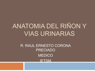 ANATOMIA DEL RIÑON Y VIAS URINARIAS R. RAUL ERNESTO CORONA PRECIADO MEDICO IETSM 
