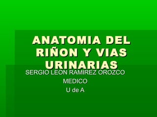 ANATOMIA DEL
 RIÑON Y VIAS
  URINARIAS
SERGIO LEON RAMIREZ OROZCO
          MEDICO
           U de A
 