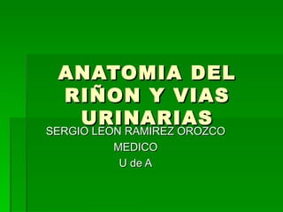 ANATOMIA DEL
 RIÑON Y VIAS
  URINARIAS
SERGIO LEON RAMIREZ OROZCO
          MEDICO
           U de A
 