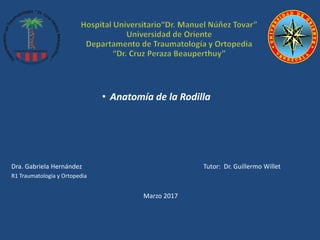 • Anatomía de la Rodilla
Dra. Gabriela Hernández Tutor: Dr. Guillermo Willet
R1 Traumatología y Ortopedia
Marzo 2017
 