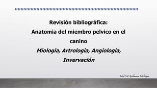 Revisión bibliográfica:
Anatomia del miembro pelvico en el
canino
Miologia, Artrologia, Angiologia,
Invervación
Med Vet. Guillaume Michigan
 