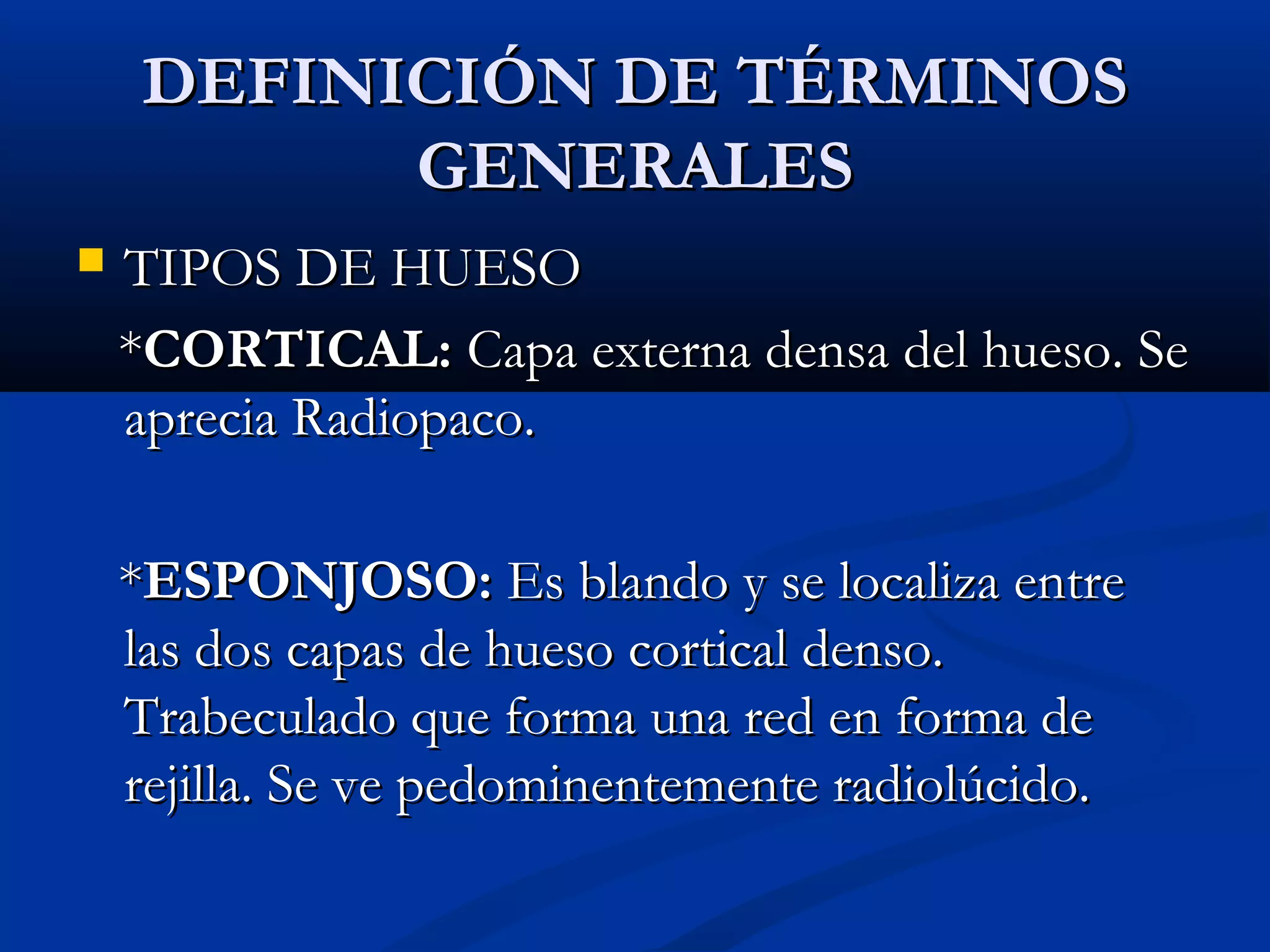 Anatomia rx | PPT