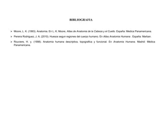 BIBLIOGRAFIA
 Moore, L. K. (1993). Anatomia. En L. K. Moore, Atlas de Anatomia de la Cabeza y el Cuello. España: Medica Panamericana.
 Pereira Rodriguez, J. A. (2010). Huesos segun regiones del cuerpo humano. En Atlas Anatomia Humana . España: Marban.
 Rouviere, H. y. (1998). Anatomia humana descriptiva, topografica y funcional. En Anatomia Humana. Madrid: Médica
Panamericana.
 