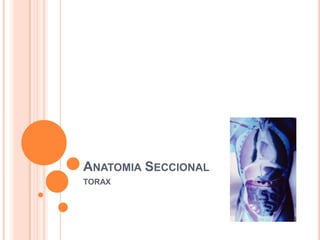 AnatomiaSeccional TORAX 