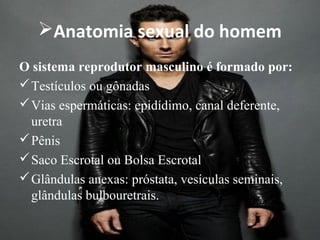 Anatomia sexual do homem
O sistema reprodutor masculino é formado por:
 Testículos ou gônadas
 Vias espermáticas: epidídimo, canal deferente,
  uretra
 Pênis
 Saco Escrotal ou Bolsa Escrotal
 Glândulas anexas: próstata, vesículas seminais,
  glândulas bulbouretrais.
 