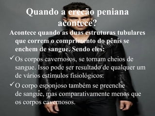 Quando a erecão peniana
           acontece?
Acontece quando as duas estruturas tubulares
 que correm o comprimento do pênis se
 enchem de sangue. Sendo eles:
Os corpos cavernosos, se tornam cheios de
 sangue. Isso pode ser resultado de qualquer um
 de vários estímulos fisiológicos.
O corpo esponjoso também se preenche
 de sangue, mas comparativamente menos que
 os corpos cavernosos.
 