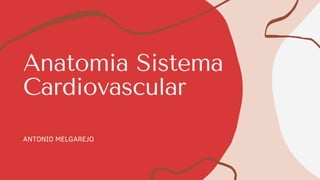 Anatomia Sistema
Cardiovascular
ANTONIO MELGAREJO
 