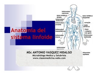 Anatomía del
sistema linfoide

      MSc ANTONIO VASQUEZ HIDALGO
         Microbiólogo Medico y Salubrista
         www.clasesmedicina.webs.com
 