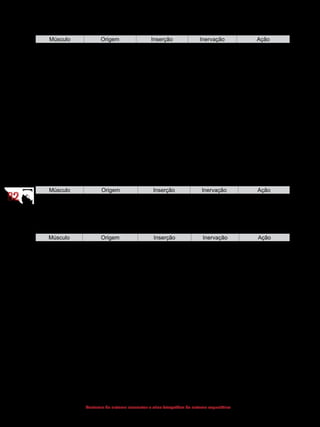 8282
Anatomia do sistema locomotor e atlas fotográfico do sistema esquelético
(Músculos da mastigação)
Músculo Origem Inserção Inervação Ação
Masseter Arco zigomático Parte lateral
do ramo da
mandíbula
N. massetérico ®
N. mandibular ®
N. trigêmeo
Eleva a mandíbula
Temporal Fossa temporal Processo
coronoide da
mandíbula
N. temporais
profundos ®
N. mandibular ®
N. trigêmeo
Eleva a mandíbula
Pterigoide lateral Lâmina lateral do
processo
pterigoide
Nas proximidades
do
colo da mandíbula
N. pterigoideo
lateral ® N.
mandibular ®
N. trigêmeo
Movimenta
lateralmente e
protrai a mandíbula
Pterigoide medial Fossa pterigoidea
do
osso esfenoide
Face medial da
região do ângulo
da mandíbula
N. pterigoideo
lateral ® N.
mandibular ®
N. trigêmeo
Eleva a mandíbula
MÚSCULOS DO PESCOÇO
(Região cervical - camada superficial)
Músculo Origem Inserção Inervação Ação
Platisma Fáscia do tórax Borda inferior da
mandíbula e pele
Nervo facial Tensiona a pele
do pescoço –
expressão facial
	
(Músculos profundos - grupo lateral)
Músculo Origem Inserção Inervação Ação
Esternocleido-
mastoideo
Esterno e clavícula Processo mastoide
e porção lateral da
linha nucal
Nervo acessório Bilateralmente:
flexiona a cabeça
Unilateralmente:
flexiona
lateralmente e
roda a cabeça
 
