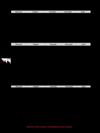 8484
Anatomia do sistema locomotor e atlas fotográfico do sistema esquelético
(Grupo laterovertebral - escalenos)
Músculo Origem Inserção Inervação Ação
Escaleno anterior Processos
transversos das
vértebras cervicais
de C3 a C6
1ª costela Nervos cervicais
Flexiona
lateralmente o
pescoço e eleva
a primeira e
segunda costelas
Escaleno médio Processos
transversos das
vértebras cervicais
1ª costela Nervos cervicais
Escaleno
posterior
Processos
transversos das
vértebras cervicais 
C5 a C7
2ª costela Ramos cervicais
(Grupo laterovertebral - pré-vertebrais)
Músculo Origem Inserção Inervação Ação
Longo da cabeça  Vértebras cervicais
de C3 a C6
Occipital  Nervos espinhais
cervicais
Bilateral:
Flexiona a
coluna vertebral
Unilateral:
Flexiona
lateralmente
e roda a cabeça
Longo do
pescoço
Vértebras cervicais e
torácicas
Vértebras
cervicais
Nervos espinhais
cervicais 
Reto anterior da
cabeça
Atlas Occipital  Nervos espinhais
cervicais
Flexiona a
cabeça
Reto lateral da
cabeça
Atlas Occipital  Nervos espinhais
cervicais
Flexiona
lateralmente a
cabeça
MÚSCULOS DO TÓRAX
(Região anterolateral)
Músculo Origem Inserção Inervação Ação
Peitoral maior Clavícula, esterno,
cart. costais e
aponeurose do
músculo oblíquo
externo do abdome
Nas proximidades
do sulco
intertubercular do
úmero (crista do
tubérculo maior do
úmero)
Nervos peitorais Roda
medialmente,
flexiona e aduz
o braço
Peitoral menor Costelas Processo
coracoide
Nervos peitorais Abaixa a
escápula
Serrátil anterior Costelas Margem medial da
escápula
Nervo torácico
longo
Roda para
cima, protrai
e abduz a
escápula
Subclávio 1a
costela Clavícula N. subclávio Abaixa a
clavícula
 