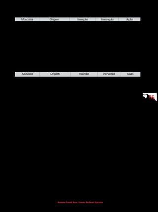 8585
Gustavo Graeff Kura, Marcos Roberto Spassim
(Região costal)
Músculos Origem Inserção Inervação Ação
Intercostais
externos
Margem inferior das
costelas
Margem superior
das costelas
Nervos
intercostais
Elevam as
costelas
durante a
inspiração
Intercostais
internos
Margem superior das
costelas
Margem inferior
das costelas
Nervos
intercostais
Abaixam
as costelas
durante a
expiração
Transverso do
tórax
Face posterior do
esterno
Face posterior das
cartilagens costais
Nervos
intercostais
Abaixam as
costelas
MÚSCULOS DO ABDOME
(Região anterolateral)
Músculo Origem Inserção Inervação Ação
Reto abdome Púbis Cartilagens costais
da 5a
, 6a
e 7a
costelas
e processo xifoide
do esterno
Nervos
intercostais
Flexiona
o tronco;
comprime o
abdome
Oblíquo externo
do
abdome
Costelas (5a
a 12a
) Crista ilíaca e linha
alba
Nervos
intercostais
Flexiona e
roda o tronco
e comprime o
abdome
Oblíquo interno do
abdome
Ligamento inguinal,
crista ilíaca, fáscia
toracolombar
Costelas (10ª a
12ª), púbis e linha
alba
Nervos
intercostais,
nervos ilio-
hipogástrico e
ilioinguinal
Flexiona e
roda o tronco
e comprime o
abdome
Transverso do
abdome
Ligamento inguinal,
crista ilíaca, fáscia
toracolombar e
cartilagens costais
Linha alba e púbis Nervos
intercostais,
nervos ilio-
hipogástrico e
ilioinguinal
Comprime o
abdome
Piramidal Púbis Linha alba Nervo subcostal Tensiona a
linha alba
 
