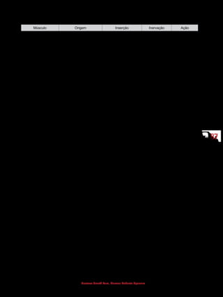 8787
Gustavo Graeff Kura, Marcos Roberto Spassim
MÚSCULOS DO DORSO E DA NUCA
Músculo Origem Inserção Inervação Ação
Trapézio Occipital, processo
espinhoso das vértebras
Extremidade lateral da
clavícula no acrômio e
espinha da escápula
Nervo acessório Roda para
cima, eleva
e abaixa a
escápula
Latíssimo do dorso Processo espinhoso das
vértebras
Próximo do sulco
intertubercular do
úmero (crista do
tubérculo menor do
úmero)
N. toracodorsal Roda
medialmente,
estende e aduz
o braço
Esplênio Processos espinhosos
das vértebras cervicais e
torácicas
Esplênio da cabeça:
nas proximidades do
processo mastoide
Esplênio do pescoço:
no processo transverso
da 1ª e 2ª vértebras
cervicais
Nervos espinhais Bilateral:
estende a
cabeça
Unilateral:
roda e flexiona
a cabeça
Levantador da
escápula
Processo transverso das
vértebras cervicais
Margem medial da
escápula
Nervo dorsal da
escápula
Roda para
baixo e eleva
a escápula
Romboide: maior e
menor
Processos espinhosos
das vértebras de C7 a T5
Margem medial da
escápula
N. dorsal
escapular
Roda para
baixo e aduz
a escápula
Serrátil posterior
superior
Processos espinhosos
das vértebras de C6 a T2
Costelas (2ª a 5ª) N. intercostais Eleva as
costelas
(inspiração)
Serrátil posterior
inferior
Processos espinhosos
das vértebras de T11 a L2
Costelas (8ª a 12ª) N. intercostais Abaixa as
costelas
(expiração)
Semiespinhais Processo transverso das
vértebras cervicais e
torácicas
Osso occipital Nervos espinhais Bilateral:
estende a
cabeça
Unilateral:
flexiona
lateralmente a
cabeça
Longuíssimo da
cabeça
Processo transverso das
vértebras cervicais e
torácicas
Processo mastoide do
osso temporal
Nervos espinhais Bilateral:
estende a
cabeça
Unilateral:
flexiona
lateralmente e
roda a cabeça
Eretor da espinha Sacro, crista ilíaca,
vértebras e costelas
Vértebras, costelas e
processo mastoide do
osso temporal
Nervos espinhais Bilateral:
estende
a coluna
vertebral
Unilateral:
flexiona
lateralmente
a coluna
vertebral
 