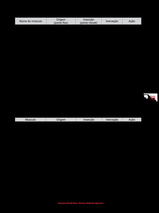 9393
Gustavo Graeff Kura, Marcos Roberto Spassim
(Músculos da coxa - loja anterior)
Nome do músculo
Origem
(ponto fixo)
Inserção
(ponto móvel)
Inervação Ação
Quadríceps
- Reto femoral
- Vasto lateral
- Vasto medial
- Vasto intermédio
Reto femoral:
espinha ilíaca
anteroinferior
Vasto lateral:
face lateral do
trocanter maior,
lábio lateral da
linha áspera, linha
intertrocantérica e
tuberosidade glútea
Vasto medial:
lábio medial da
linha áspera do fêmur
Vasto intermédio:
corpo do fêmur
(face anterior)
Patela, que,
através do
ligamento patelar,
se insere na
tuberosidade da
tíbia
Nervo femoral Estende
a perna e
flexiona
a coxa
(somente o
músculo reto
femoral)
Sartório Espinha ilíaca
anterossuperior
Parte superior da
face medial da tíbia
Nervo femoral Flexiona a
coxa e a
perna
Iliopsoas Fossa ilíaca e
vértebras lombares
Trocanter menor
do fêmur
Ramos do
plexo lombar
Flexiona a
coxa e o
tronco
(Músculos da coxa - loja posterior)
Músculo Origem Inserção Inervação Ação
Bíceps femoral
- Cabeça longa
- Cabeça curta
Cabeça longa:
tuberosidade
isquiática
 
Cabeça curta:
linha áspera
Cabeça da fíbula
e côndilo lateral da
tíbia
Ramos
do nervo
isquiático
Cabeça longa:
nervo tibial 
Cabeça curta:
nervo fibular
comum
Roda
lateralmente,
estende e
flexiona a
coxa
Semitendíneo Tuberosidade
isquiática
Parte superior da
face medial da tíbia
Ramo
do nervo
isquiático
(nervo tibial)
Flexiona a
perna; roda
medialmente
e estende a
coxa
Semimembranáceo Tuberosidade
isquiática
Côndilo medial da
tíbia
Ramo
do nervo
isquiático
(nervo tibial)
Flexiona a
perna; roda
medialmente
e estende a
coxa
 