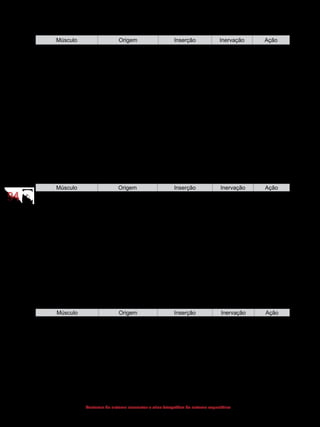 9494
Anatomia do sistema locomotor e atlas fotográfico do sistema esquelético
(Músculos da coxa - loja medial)
Músculo Origem Inserção Inervação Ação
Pectíneo Púbis Nas proximidades
da linha áspera
Nervo femoral Aduz e
flexiona a
coxa
Adutor longo Púbis Linha áspera do
fêmur
Nervo
obturatório
Aduz e
flexiona a
coxa
Adutor curto Púbis Linha áspera do
fêmur
Nervo
obturatório
Aduz e
flexiona a
coxa
Adutor magno Púbis e ísquio Linha áspera e
côndilo medial do
fêmur
Nervo
obturatório
Aduz e
flexiona a
coxa
Grácil Púbis Parte superior da
face medial da tíbia
Nervo
obturatório
Aduz e
flexiona
a coxa e
flexiona a
perna
(Músculos da perna - loja anterior)
Músculo Origem Inserção Inervação Ação
Tibial anterior Face lateral da tíbia e
membrana interóssea
Cuneiforme medial
e base do metatarso
I
Nervo fibular
profundo
Realiza a
dorsiflexão e
inversão do
pé
Extensor longo dos
dedos
Côndilo lateral da
tíbia, fíbula (cabeça
e margem anterior),
membrana interóssea
e fáscia da perna
Falange média e
distal do 2º ao 5º
dedo
Nervo fibular
profundo
Estende
os dedos
e realiza a
dorsiflexão
do pé
Extensor longo do
hálux
Face medial da
fíbula e membrana
interóssea
Falange distal do
hálux
Nervo fibular
profundo
Estende
o hálux e
auxilia na
dorsiflexão
do pé
(Músculos da perna - loja lateral)
Músculo Origem Inserção Inervação Ação
Fibular longo Face lateral da fíbula Cuneiforme medial
e osso metatarsal I
Nervo fibular
superficial
Realiza a
eversão
do pé e
a flexão
plantar
Fibular curto Face lateral da fíbula Tuberosidade do
osso metatarsal V
Nervo fibular
superficial
Realiza a
eversão
do pé e
a flexão
plantar
 