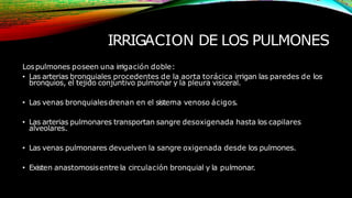 anatomiasistemarespiratorio-131010203241-phpapp02 (1).pptx