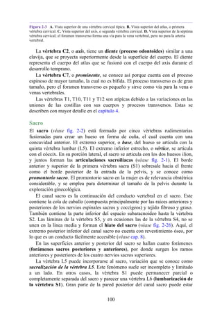 Figura 2-3 A. Vista superior de una vértebra cervical típica. B. Vista superior del atlas, o primera
vértebra cervical. C. Vista superior del axis, o segunda vértebra cervical. D. Vista superior de la séptima
vértebra cervical; el foramen transverso forma una vía para la vena vertebral, pero no para la arteria
vertebral.
La vértebra C2, o axis, tiene un diente (proceso odontoides) similar a una
clavija, que se proyecta superiormente desde la superficie del cuerpo. El diente
representa el cuerpo del atlas que se fusionó con el cuerpo del axis durante el
desarrollo temprano.
La vértebra C7, o prominente, se conoce así porque cuenta con el proceso
espinoso de mayor tamaño, la cual no es bífida. El proceso transverso es de gran
tamaño, pero el foramen transverso es pequeño y sirve como vía para la vena o
venas vertebrales.
Las vértebras T1, T10, T11 y T12 son atípicas debido a las variaciones en las
uniones de las costillas con sus cuerpos y procesos transversos. Estas se
describen con mayor detalle en el capítulo 4.
Sacro
El sacro (véase fig. 2-2) está formado por cinco vértebras rudimentarias
fusionadas para crear un hueso en forma de cuña, el cual cuenta con una
concavidad anterior. El extremo superior, o base, del hueso se articula con la
quinta vértebra lumbar (L5). El extremo inferior estrecho, o vértice, se articula
con el cóccix. En su porción lateral, el sacro se articula con los dos huesos ilion,
y juntos forman las articulaciones sacroilíacas (véase fig. 2-1). El borde
anterior y superior de la primera vértebra sacra (S1) sobresale hacia el frente
como el borde posterior de la entrada de la pelvis, y se conoce como
promontorio sacro. El promontorio sacro en la mujer es de relevancia obstétrica
considerable, y se emplea para determinar el tamaño de la pelvis durante la
exploración ginecológica.
El canal sacro es la continuación del conducto vertebral en el sacro. Este
contiene la cola de caballo (compuesta principalmente por las raíces anteriores y
posteriores de los nervios espinales sacros y coccígeos) y tejido fibroso y graso.
También contiene la parte inferior del espacio subaracnoideo hasta la vértebra
S2. Las láminas de la vértebra S5, y en ocasiones las de la vértebra S4, no se
unen en la línea media y forman el hiato del sacro (véase fig. 2-26). Aquí, el
extremo posterior inferior del canal sacro no cuenta con revestimiento óseo, por
lo que es un conducto fácilmente accesible (véase cap. 8).
En las superficies anterior y posterior del sacro se hallan cuatro forámenes
(forámenes sacros posteriores y anteriores), por donde surgen los ramos
anteriores y posteriores de los cuatro nervios sacros superiores.
La vértebra L5 puede incorporarse al sacro, variación que se conoce como
sacralización de la vértebra L5. Este fenómeno suele ser incompleto y limitado
a un lado. En otros casos, la vértebra S1 puede permanecer parcial o
completamente separada del sacro y parecer una vértebra L6 (lumbarización de
la vértebra S1). Gran parte de la pared posterior del canal sacro puede estar
100
 