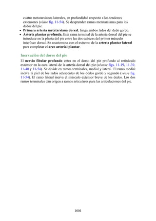 ANATOMIA SNELL 10MA EDICION ESPAÑOL.pdf