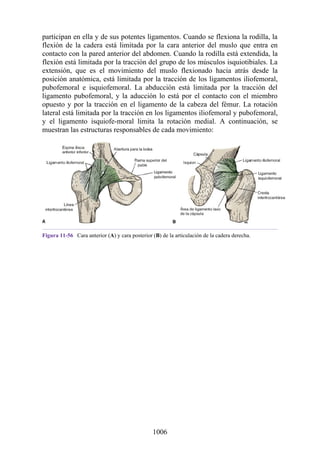 ANATOMIA SNELL 10MA EDICION ESPAÑOL.pdf