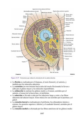 ANATOMIA SNELL 10MA EDICION ESPAÑOL.pdf