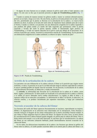 ANATOMIA SNELL 10MA EDICION ESPAÑOL.pdf