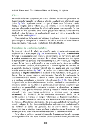 ausente debido a una falta de desarrollo de las láminas y las espinas.
Cóccix
El cóccix suele estar compuesto por cuatro vértebras fusionadas que forman un
hueso triangular pequeño cuya base se articula con el extremo inferior del sacro
(véase fig. 2-2). La primera vértebra coccígea (Co1) no suele fusionarse o no lo
hace por completo con la vértebra Co2. No obstante, el cóccix puede contar con
solo tres o hasta cinco vértebras. La vértebra Co1 puede estar separada. En esta
variación, las tres vértebras libres suelen proyectarse inferior y anteriormente
desde el vértice del sacro. La morfología del sacro y el cóccix se describe con
mayor detalle en el capítulo 8.
El conocimiento de la anatomía básica de la columna vertebral es importante
para interpretar radiografías e identificar los sitios precisos de características
óseas patológicas relacionadas con la lesión de tejidos blandos.
Curvaturas de la columna vertebral
La columna vertebral del adulto (en posición erecta) presenta cuatro curvaturas
regionales en el plano sagital (fig. 2-4; véase también fig. 2-2). Las curvaturas
torácica y sacrococcígea son cóncavas anteriormente; las curvaturas cervical
y lumbar son cóncavas posteriormente. En conjunto, las curvaturas sirven para
alinear el centro de gravedad corporal sobre la pelvis. Por lo tanto, se compensa
el peso de las vísceras abdominales, lo que permite que la cabeza se equilibre
sobre la columna vertebral, lo cual posibilita la postura erguida. No obstante, en
el desarrollo inicial, la columna vertebral fetal solo cuenta con una concavidad
anterior continua (véase fig. 2-4A). A medida que el desarrollo continúa, se
desarrolla el ángulo lumbosacro en la unión de las vértebras L5 y S1, para así
formar dos curvaturas cóncavas anteriormente. Después del nacimiento, la
curvatura cervical se forma a la vez que el lactante comienza a elevar su cabeza,
y la mantiene alineada con la columna vertebral (véase fig. 2-4B). Hacia el final
del primer año, se desarrolla la curvatura lumbar, cuando el lactante comienza a
sentarse o ponerse de pie. Debido a que las curvaturas torácica y sacrococcígea
mantienen sus concavidades anteriores prenatales, se denominan curvaturas
primarias. Dado que las curvaturas cervical y lumbar se forman en el período
posnatal y son concavidades posteriores, se conocen como curvaturas
secundarias. El desarrollo de las curvaturas secundarias resulta en la
modificación de la forma de los cuerpos vertebrales y los discos intervertebrales.
En el adulto, la curvatura lumbar es más pronunciada en las mujeres que en
los hombres. Durante los últimos meses del embarazo, debido al incremento del
tamaño y el peso del feto, la concavidad lumbar suele aumentar con la intención
de mantener el centro de gravedad. En el adulto mayor, los discos
intervertebrales se atrofian, lo que conlleva la disminución de la estatura y el
retorno paulatino a una sola concavidad anterior de la columna vertebral.
En la infancia tardía, es habitual el desarrollo de curvaturas laterales menores
en la región torácica. Ello no es anómalo, y suele derivarse del uso predominante
101
 